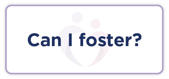 Can I Foster