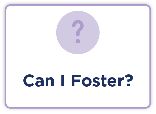 Can I Foster