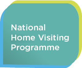 National Home Visiting Programme