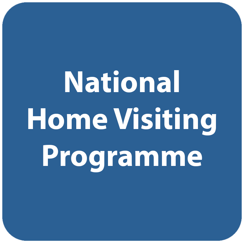 National Home Visiting Programme