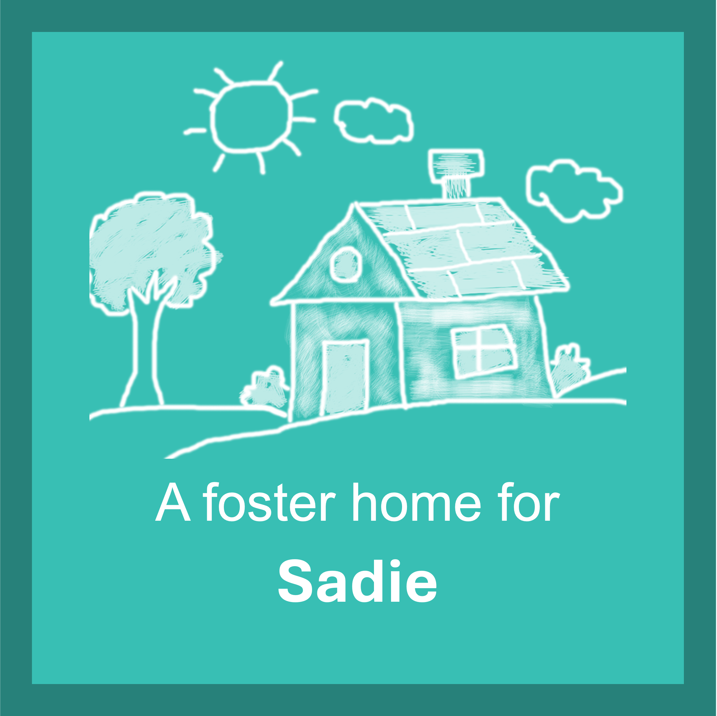 A foster family for Sadie